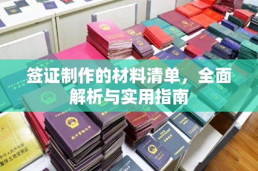 辛集签证制作的材料清单，全面解析与实用指南